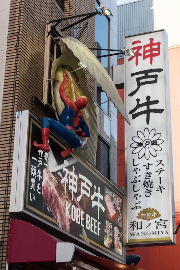 Spiderman, scallop